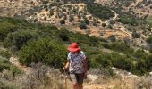 Randonnée Marche Πρόδρομος - prodromos lefkes retour byzantin - Photo 2
