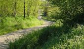 Trail Running Launaguet - Course à pied gps à Launaguet - Chemin du Poutou - Photo 1
