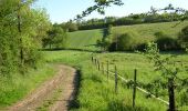 Trail Running Lanta - Folies à St Anatoly - Photo 1