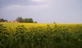 Tour Laufen Grenade - Grenade Merville - Photo 1