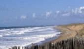 Tour Mountainbike L'Aiguillon-sur-Mer - De La Faute Sur Mer à Longeville - Photo 2