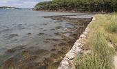 Tocht Stappen Locoal-Mendon - Tour de la presqu'île de Locoal.  - Photo 2