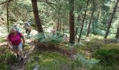 Trail Walking Fontainebleau - 180712 EnCours - Photo 3