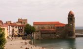 Tour Mountainbike Le Boulou - Le Boulou Collioure - Photo 5