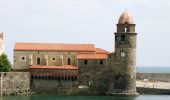 Tour Mountainbike Le Boulou - Le Boulou Collioure - Photo 4