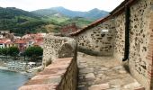 Tour Mountainbike Le Boulou - Le Boulou Collioure - Photo 3