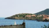 Tour Mountainbike Le Boulou - Le Boulou Collioure - Photo 1