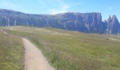 Trail Walking Kastelruth - Castelrotto - Seiser Alm - Photo 20