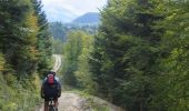 Trail Mountain bike Lugagnan - Col de Liar et de Couret - Photo 2