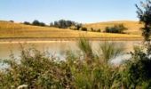 Tour Laufen Roquesérière - Autour du lac de Laragou - Photo 1