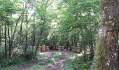Trail Walking Villaines-les-Rochers - Villaines-les-Rochers - 16.4km 260m 4h00 - 2018 07 22 - public - Photo 14