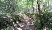 Trail Walking Villaines-les-Rochers - Villaines-les-Rochers - 16.4km 260m 4h00 - 2018 07 22 - public - Photo 4