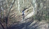 Percorso Mountainbike Montaigut-sur-Save - Forêt de Bouconne - Photo 3