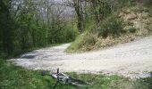 Trail Mountain bike Dourgne - Dourgne, Montagne noire - Photo 4