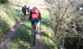 Trail Mountain bike Arthès - Le long du Tarn vers Arthes - Photo 3
