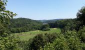 Tour Wandern Rochefort - GR 577 ABBAYE SAINT-REMY - HAN-SUR--LESSE - Photo 12