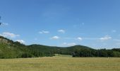 Tour Wandern Rochefort - GR 577 ABBAYE SAINT-REMY - HAN-SUR--LESSE - Photo 5