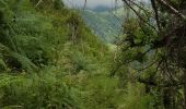 Trail Walking Arbéost - Ferrière  - Photo 12