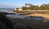 Tour Wandern Larmor-Baden - Tour de l'île Berder.  - Photo 13