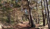 Tocht Stappen Larmor-Baden - Tour de l'île Berder.  - Photo 11