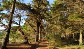 Tocht Stappen Larmor-Baden - Tour de l'île Berder.  - Photo 10