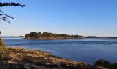 Tocht Stappen Larmor-Baden - Tour de l'île Berder.  - Photo 8