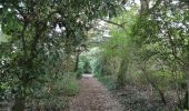 Tocht Stappen Larmor-Baden - Tour de l'île Berder.  - Photo 6