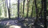 Trail Mountain bike Lisle-sur-Tarn - La 3ème Déjanterre d'oc - Photo 2