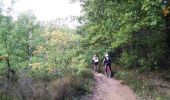 Trail Mountain bike Lisle-sur-Tarn - Forêt de Sivens - Photo 3