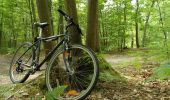 Trail Mountain bike Saint-Germain-en-Laye - Randonnée en Forêt de Marly Le Roi - Photo 1