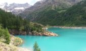 Trail Walking Bionaz - lac de places moulin + le braoule A-r - Photo 3