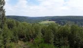 Trail Walking Rochefort - GR des trappistes HAN-DAVERDISSE - Photo 6