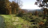 Randonnée V.T.T. Lisle-sur-Tarn - Forêt de Sivens et alentours - Photo 3