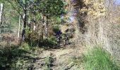 Tour Mountainbike Lisle-sur-Tarn - Forêt de Sivens et alentours - Photo 1