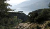 Tocht Mountainbike Les Orres - Descente Les Orres Barratier - Photo 1