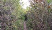 Trail Walking Limay - De Limay à Dennemont - Photo 2