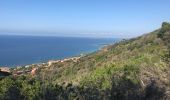 Randonnée Autre activité Ajaccio - sentier des crêtes Ajaccio 2018 - Photo 4