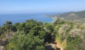 Tour Andere Aktivitäten Ajaccio - sentier des crêtes Ajaccio 2018 - Photo 1