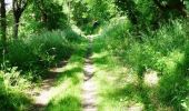 Tocht Lopen Le Poiré-sur-Vie - Le Poiré Sur Vie - Sentier de la Vie - Photo 5