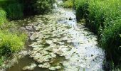 Percorso Corsa a piedi Le Poiré-sur-Vie - Le Poiré Sur Vie - Sentier de la Vie - Photo 2