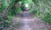 Tocht Lopen Le Poiré-sur-Vie - Le Poiré Sur Vie - Sentier des Moulins - Photo 1