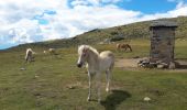 Tocht Stappen Villanders - Villandro - Villanderer Alm - Photo 10