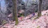Trail Mountain bike Wasselonne - Die Wasselonne Strecke - Photo 1