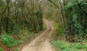 Tocht Mountainbike Saint-Père - XVIIème Ronde de Vézelay - Photo 3