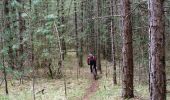 Tocht Mountainbike Saint-Père - XVIIème Ronde de Vézelay - Photo 2