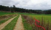 Tocht Mountainbike Saint-Père - XVIIème Ronde de Vézelay - Photo 1