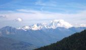 Trail Mountain bike La Plagne-Tarentaise - Le Dou du Praz - Photo 1