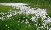 Excursión Bici de montaña La Plagne-Tarentaise - La Lovatière - Photo 1