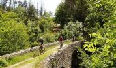 Excursión Bici de montaña Toulaud -  Valence - Arcens - Photo 1