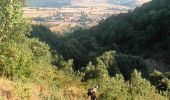 Tocht Mountainbike Laroque-de-Fa - Tour des châteaux du Pays Cathare - Carcasses - Tuchan - Photo 3